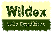 wildex logo