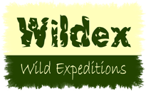 Wildex Logo