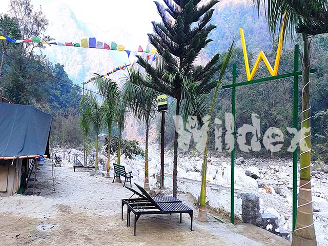 campers enjoying the river adjecent to the camp in rishikesh